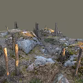Natural Wood and Stone Scene with Dead Tree Trunks Moss Gravel and Grass