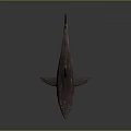 Realistic 3D Rendered Shark With Open Mouth And Sharp Teeth On Grey Background 3d model