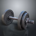 Metal Dumbbell For Home Fitness Exercise With Weight Plates And Bar