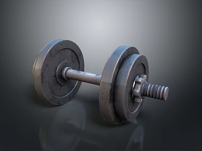 Metal Dumbbell For Home Fitness Exercise With Weight Plates And Bar 3d model