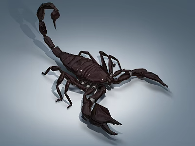 Detailed Dark Colored Scorpion Reptile With Curved Tail And Pincers On Blue Background 3d model