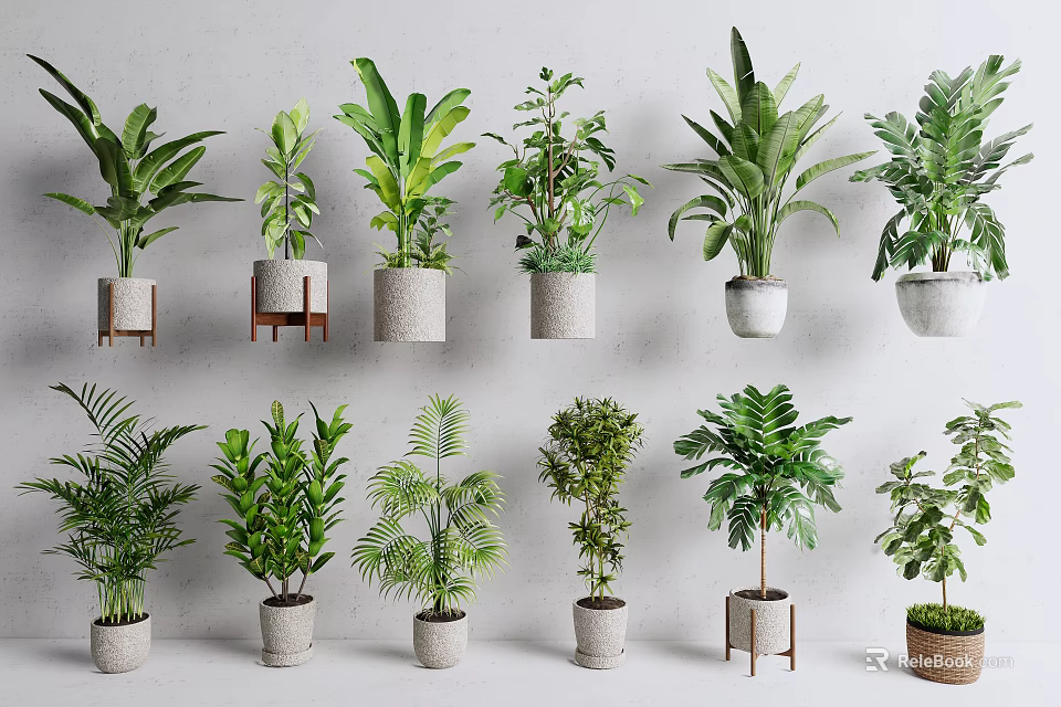 Various Indoor Potted Plants in Stylish Planters on Wall Shelves 3d model 