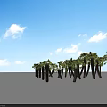 Group of Palm Trees With Green Leaves And Brown Trunks On White Background
