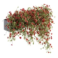 Beautiful Hanging Red Flowers With Green Leaves For Home Decorative