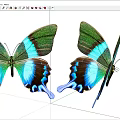 Colorful Flying Butterflies With Green Blue Brown Wings Displaying Vibrant Patterns On White Background