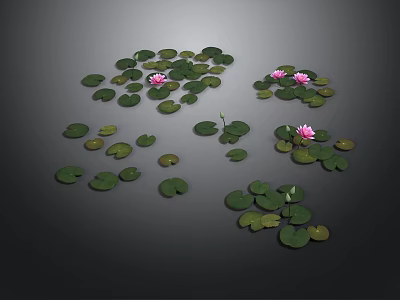 Small Green Frog Resting On Lotus Leaf With Pink Flowers Black Background 3d model