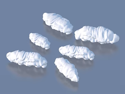 Several Detailed White Caterpillar like Objects Neatly Arranged on Blue Background 3d model
