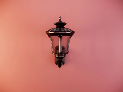 Classic Dark Wall Lamp With Glass Shade Mounted On Pink Wall 3d model