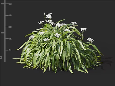 Green Long Leaf Plants With White Small Flowers And Dense Foliage 3d model