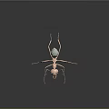 3D Model Light Pink Ant With Transparent Abdomen Long Slender Legs Antennae On Dark Background