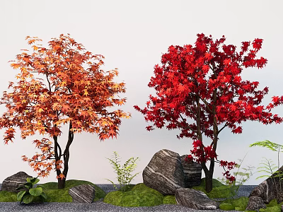 maple plant combination landscape modeling tree red maple stone micro terrain 3d model