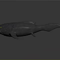 Gray 3D Fish Model With Yellow Eyes Open Mouth And Rough Textured Skin