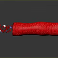 Anatomical View of Red Tubular Organ with Hair-like Structures and Internal Flowing Granules