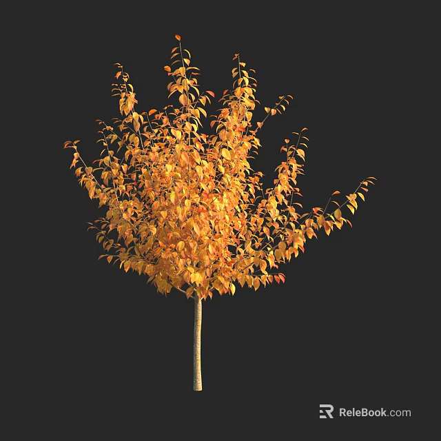Autumn Tree With Vibrant Yellow Leaves And Lush Foliage On Black Background 3d model 