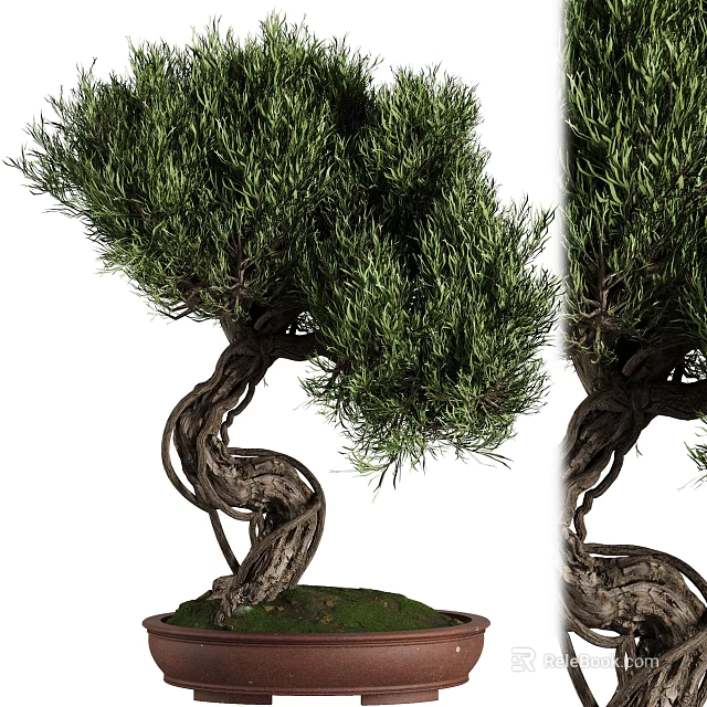 Artistic Bonsai Tree With Twisted Trunk And Lush Green Foliage Design 3d model 