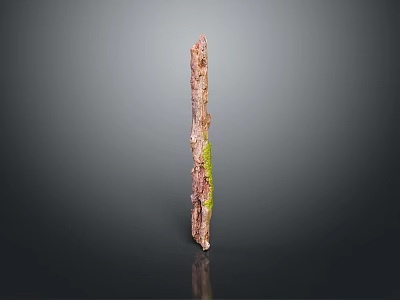 Natural Wood Stone Decorative Piece With Brown Green Texture And Vertical Shape In Dark Background 3d model