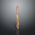 Natural Wood Stone Decorative Piece With Brown Green Texture And Vertical Shape In Dark Background