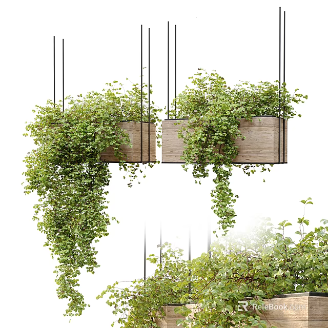Hanging Basket Plants In Wooden Planters With Lush Trailing Greenery And Dense Leaves 3d model 