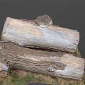 Natural Wood Stone Logs with Rough Texture and Organic Patterns 3d model
