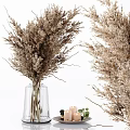 Elegant Decorative Ornament Set With Candles Dried Flowers Green Plants And Glass Vases