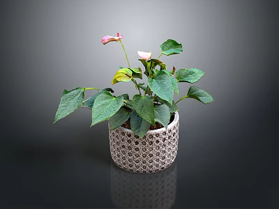 Potted Plant With Green Leaves And Pink Flowers In Woven Pattern Pot 3d model