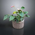 Potted Plant With Green Leaves And Pink Flowers In Woven Pattern Pot