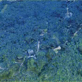 Scenic Aerial View of Lush Green Forest with Winding Pathways and Rural Houses