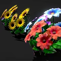 Vibrant Mixed Color Flowers Including Sunflowers Purple Blue Pink Blooms Arranged Against Black Background