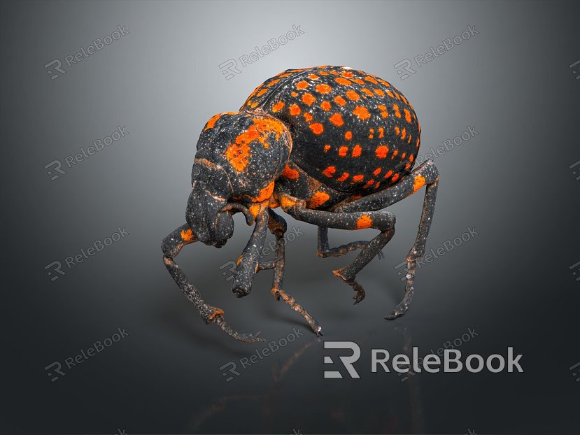 Modern beetle, weevils, beetles, scarabs model