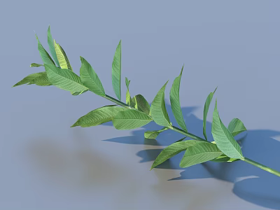 Fresh Green Plant Branch With Lush Leaves And Natural Texture On Blue Background 3d model