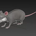 Cute 3D Cartoon Mouse With Gray Body White Belly And Pink Features On Black Background