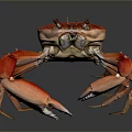 Red Crab Close Up View With Vibrant Color And Detailed Claws On Dark Background