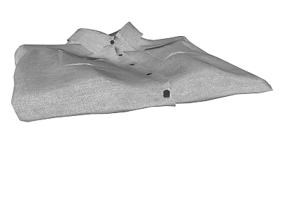 Gray Shirt With Fabric Material And Button Design For Casual Wear 3d model