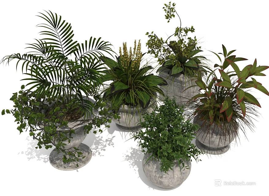 Various Types of Indoor Plants with Diverse Leaf Shapes in Different Pots 3d model 