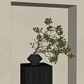 Black Vase With Green Leaf Branches Placed On Dark Cube Base Against Beige Wall 3d model
