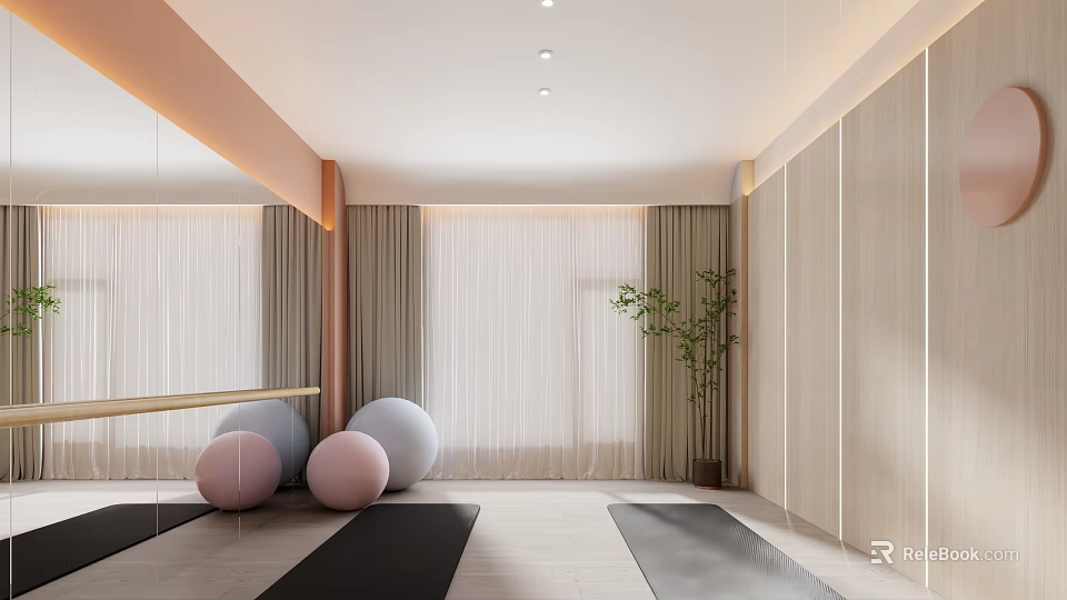 Bright Fitness Studio With Yoga Mats Balls And Dance Barre 3d model 