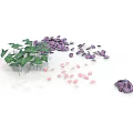Plants With Green Leaves Purple And Pink Petals Scattered On White Background