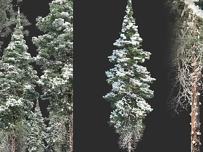 Snow Covered Pine Tree Decorative Ornament Set For Home Decoration 3d model