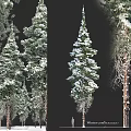 Snow Covered Pine Tree Decorative Ornament Set For Home Decoration 3d model