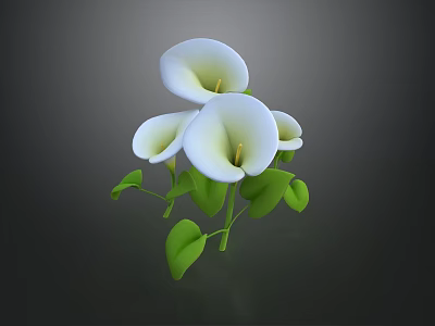 Beautiful White Calla Lily Plant With Fresh Blooms And Vibrant Green Leaves 3d model