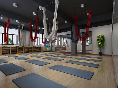 Spacious Yoga Studio with Colorful Aerial Hammocks Yoga Mats and Exercise Balls for Fitness Training 3d model