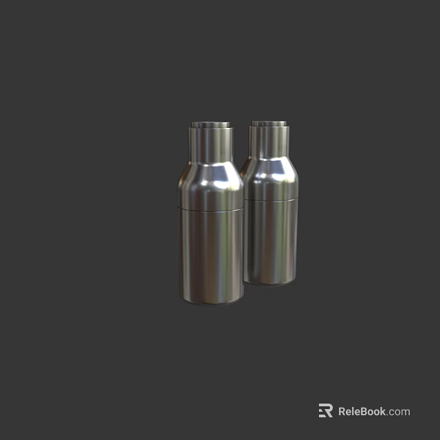 Sleek Stainless Steel Pair of Spice Bottles for Kitchen Seasoning Storage 3d model 