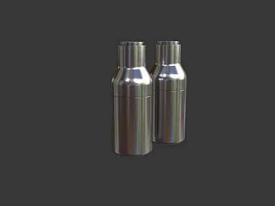 Sleek Stainless Steel Pair of Spice Bottles for Kitchen Seasoning Storage 3d model