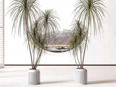 Modern potted plants 3d model