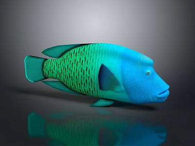 Vibrant Blue Green Aquatic Fish With Unique Scales Pattern And Detailed Body Structure 3d model