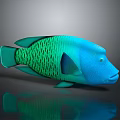 Vibrant Blue Green Aquatic Fish With Unique Scales Pattern And Detailed Body Structure