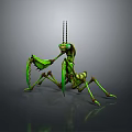 Detailed Green Praying Mantis Figure With Serrated Forelegs And Antennae