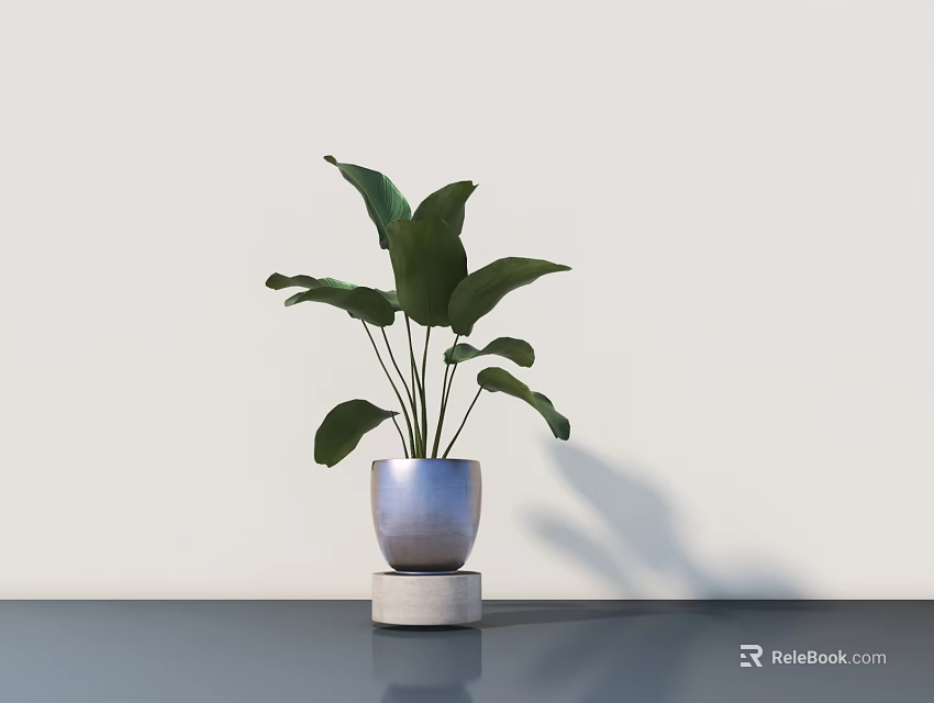 Bonsai Potted Plant With Green Leaves In Blue Pot On Light Base And White Wall 3d model 