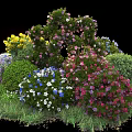 Colorful Flowering Shrubs With Yellow Pink Purple White And Blue Blooms In Garden Landscape