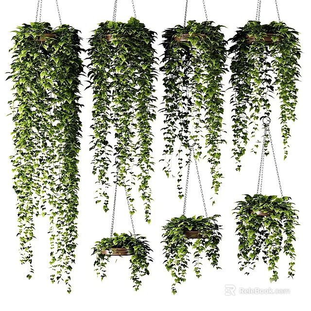 Lush Hanging Basket Plants With Cascading Green Leaves For Indoor Decoration 3d model 